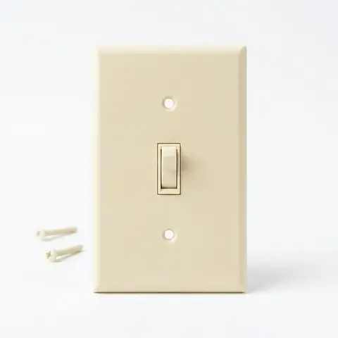 Interruptor simple 